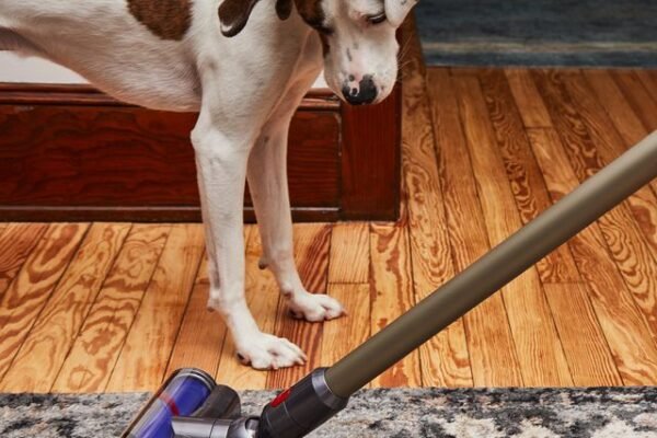 best vacuum for pet hair